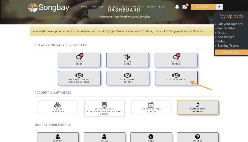 Songbay Collaboration Instructions Step 1