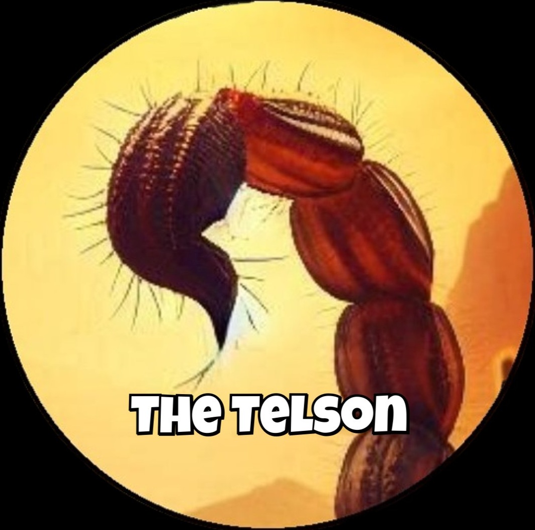 The Telson | Portfolio | Songbay